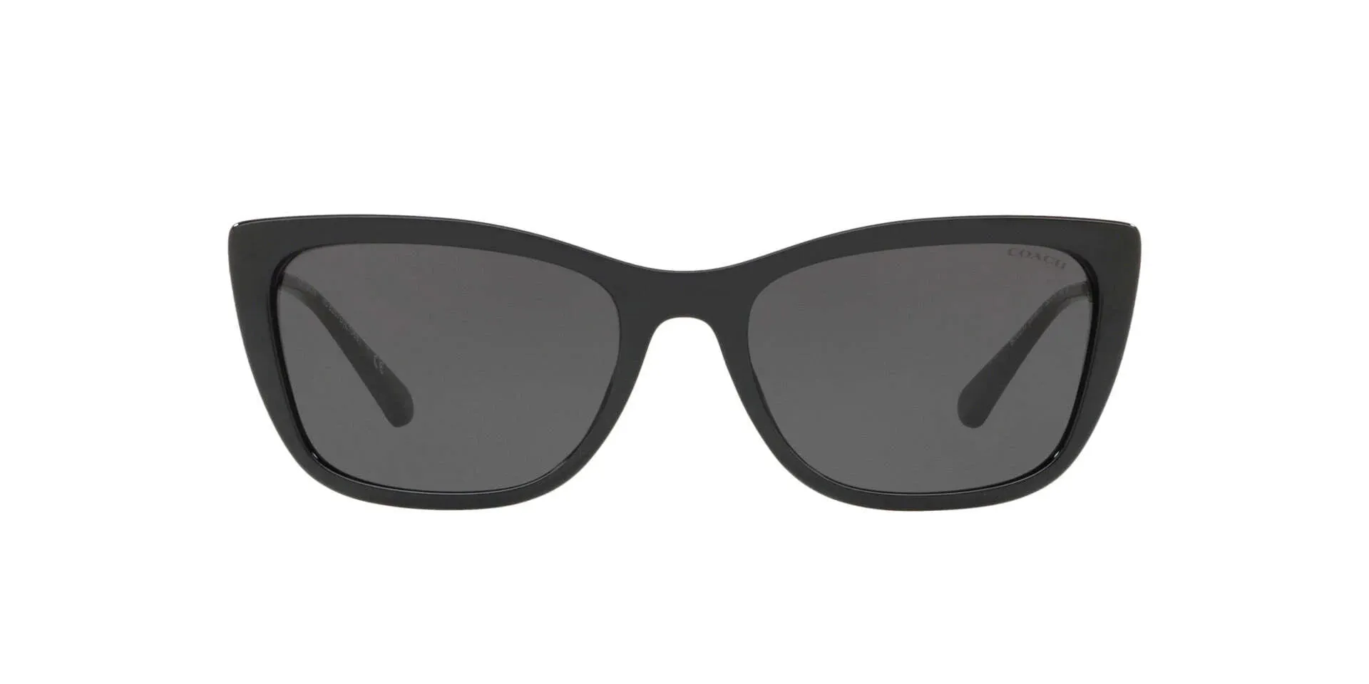 Coach L1065 HC8257U Sunglasses