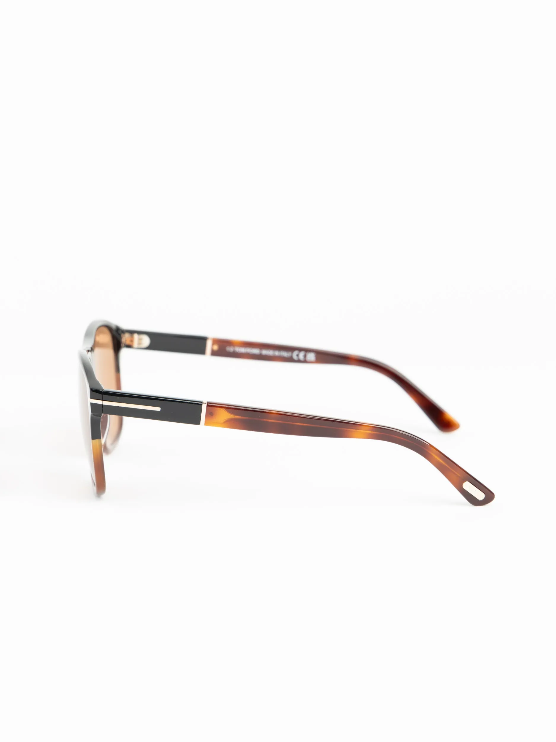 Dark Havana Polarized Frances Sunglasses