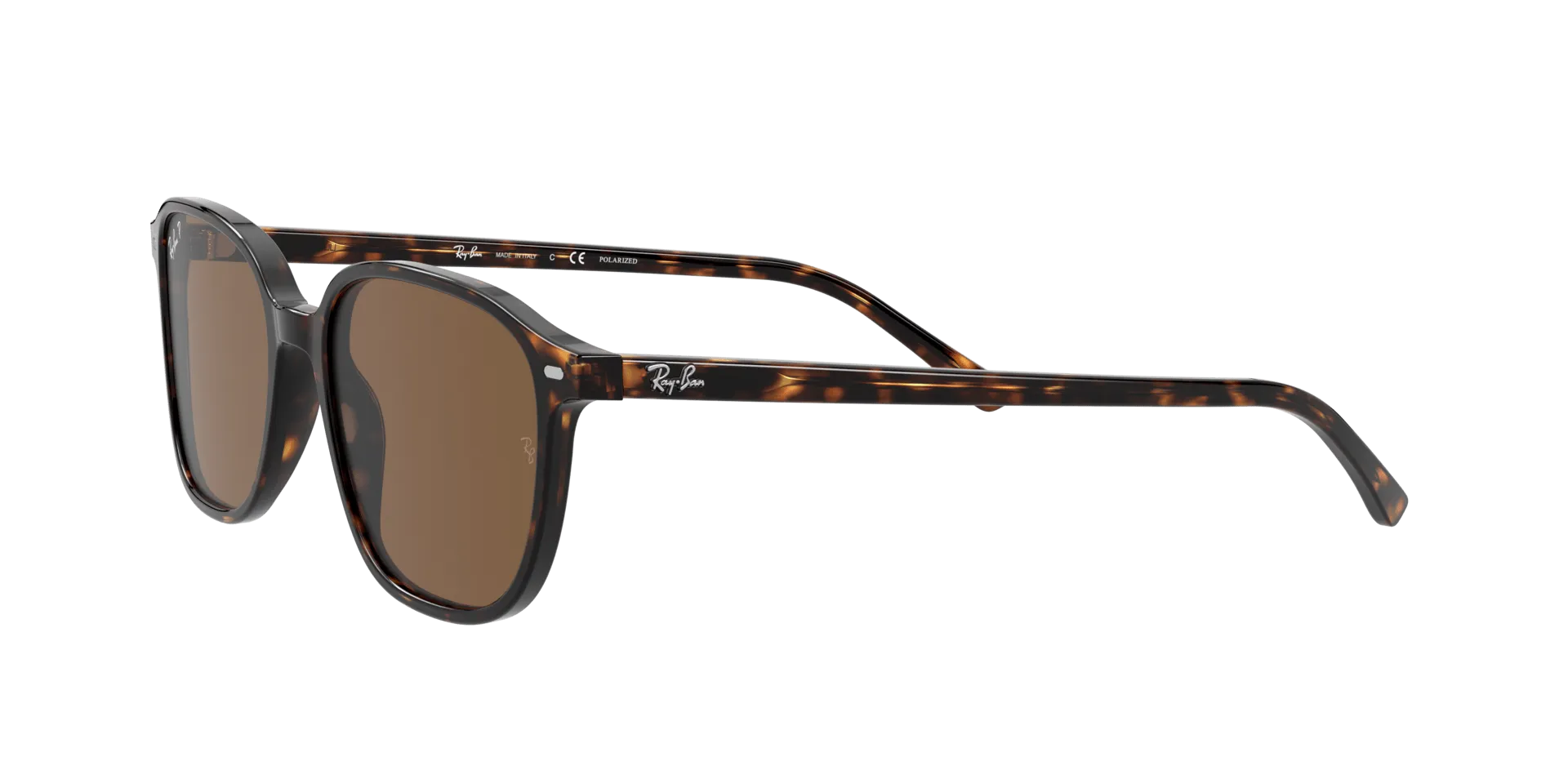 RAY BAN LEONARD TORTOISE | BROWN CLASSIC B-15